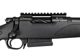 Carnage - R700 Rifle - .223Rem Sporter 20 inch 1/8 Twist (CR223SB20)
